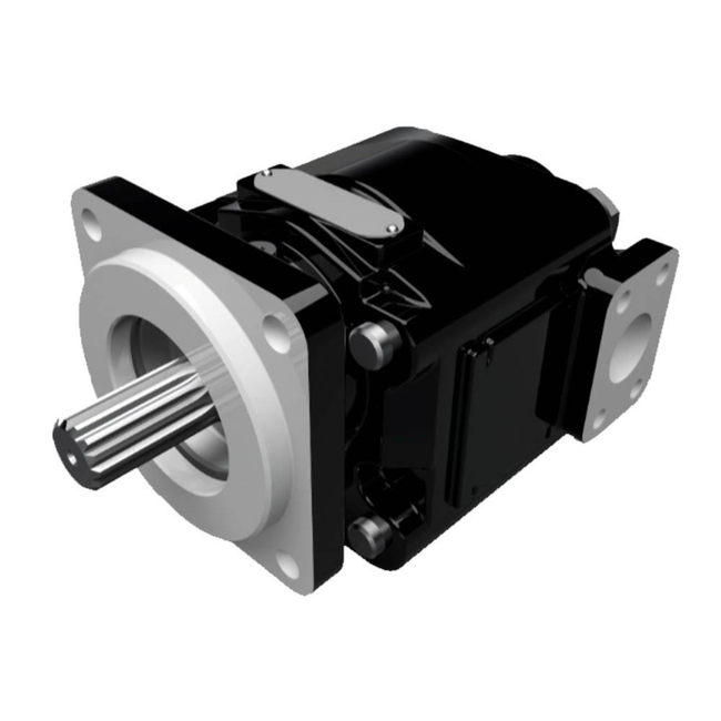 Cast Iron Pumps – PGP365 Series